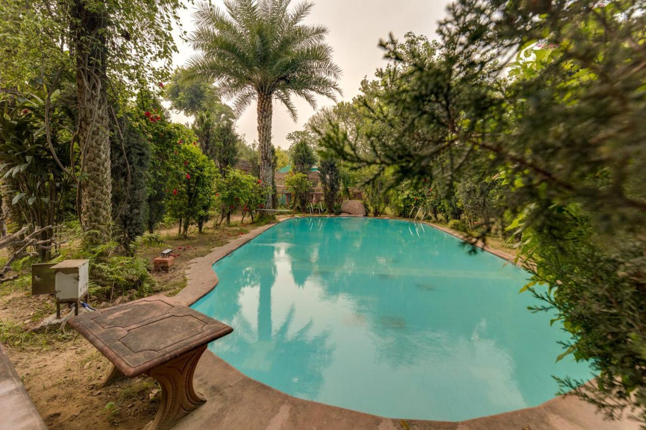 Hostie Chinar Haveli - Heritage Home With Pool, Gurgaon Eksteriør bilde