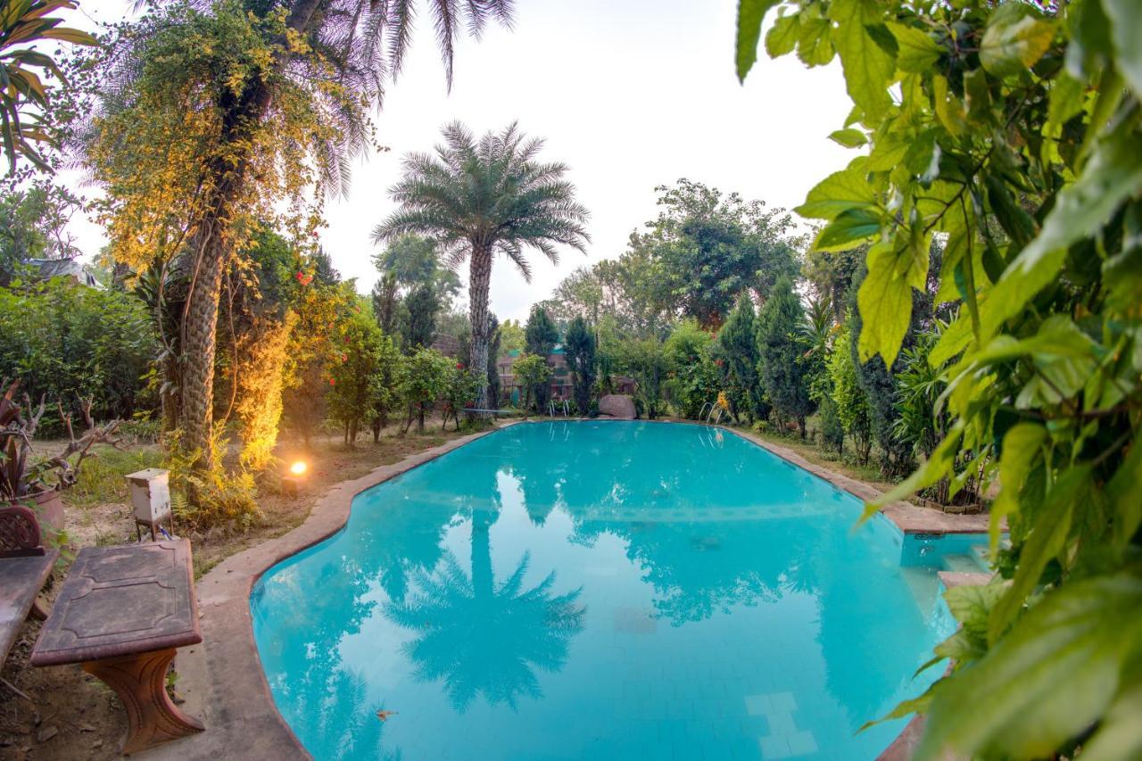 Hostie Chinar Haveli - Heritage Home With Pool, Gurgaon Eksteriør bilde