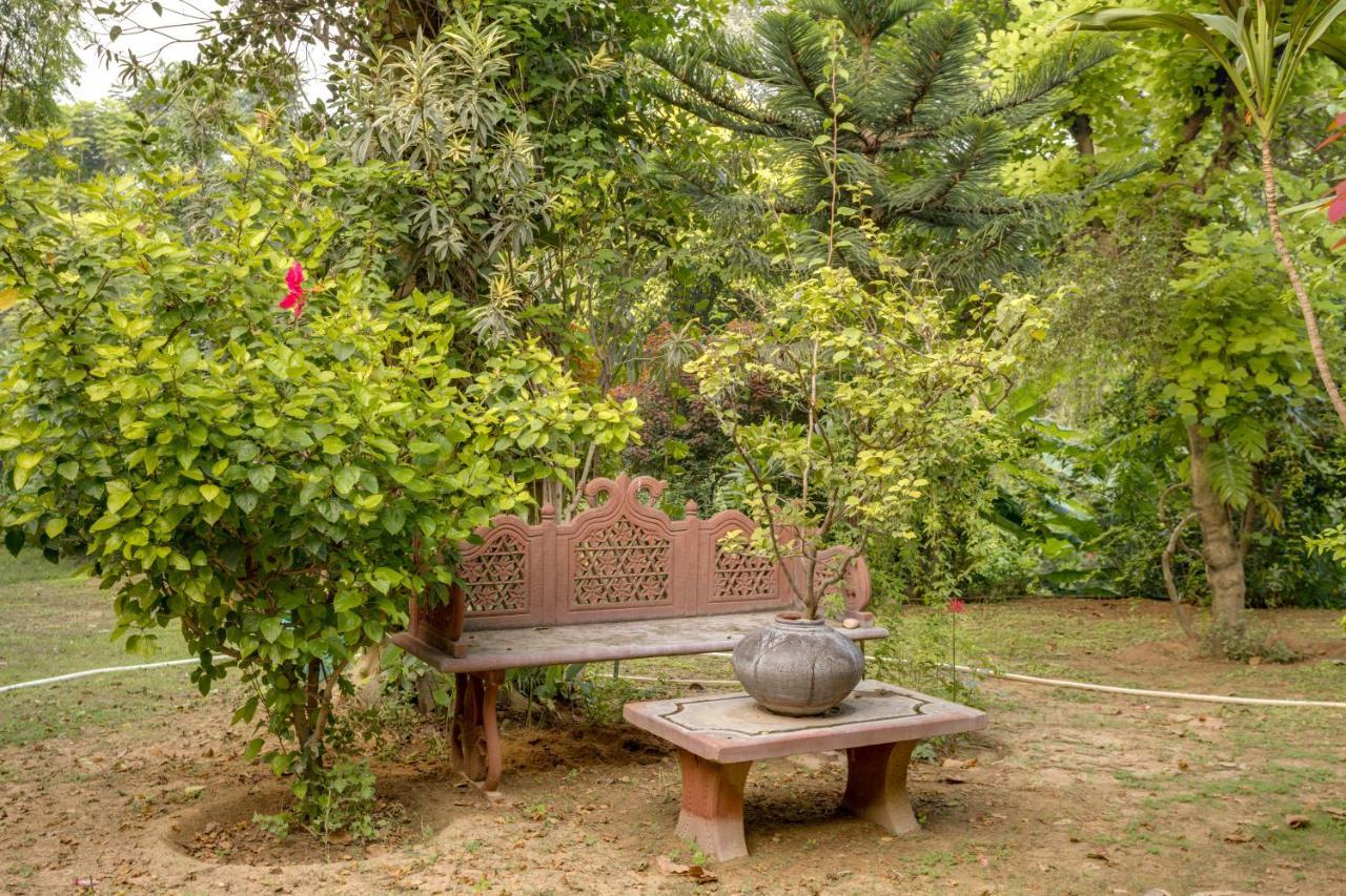 Hostie Chinar Haveli - Heritage Home With Pool, Gurgaon Eksteriør bilde