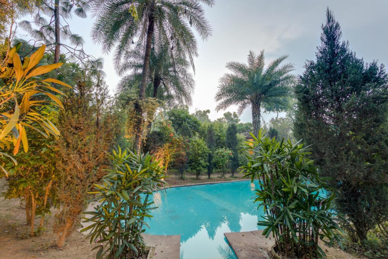 Hostie Chinar Haveli - Heritage Home With Pool, Gurgaon Eksteriør bilde
