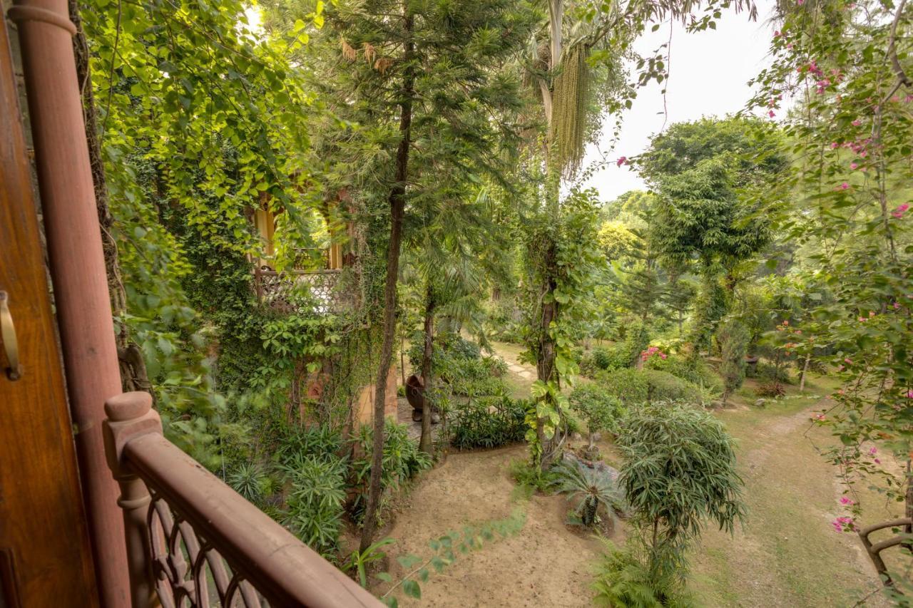 Hostie Chinar Haveli - Heritage Home With Pool, Gurgaon Eksteriør bilde