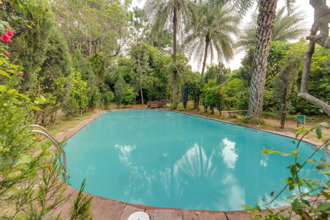 Hostie Chinar Haveli - Heritage Home With Pool, Gurgaon Eksteriør bilde
