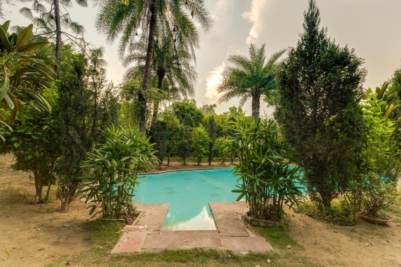 Hostie Chinar Haveli - Heritage Home With Pool, Gurgaon Eksteriør bilde