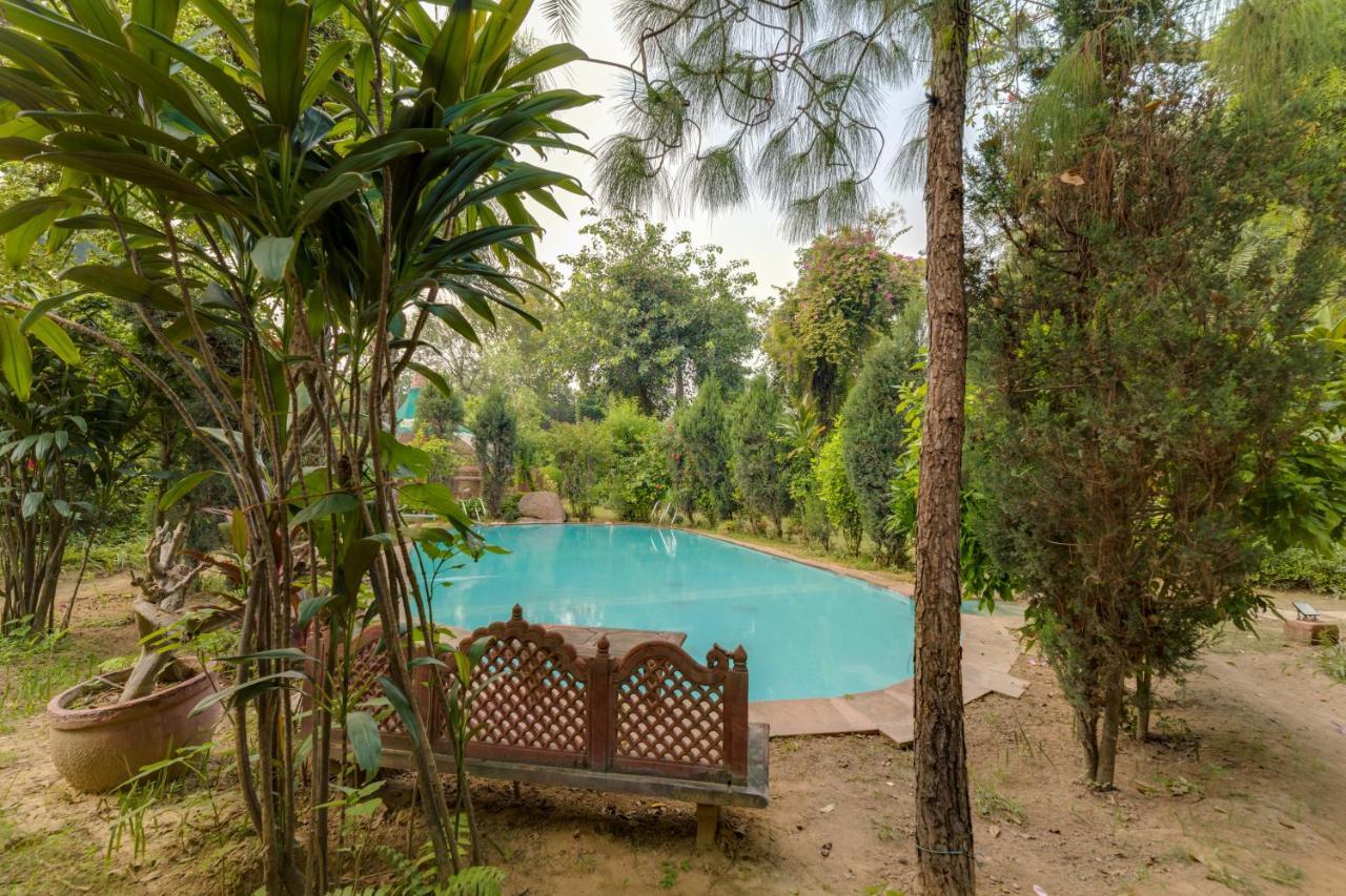 Hostie Chinar Haveli - Heritage Home With Pool, Gurgaon Eksteriør bilde